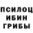 Галлюциногенные грибы Psilocybe Danya Polubotko
