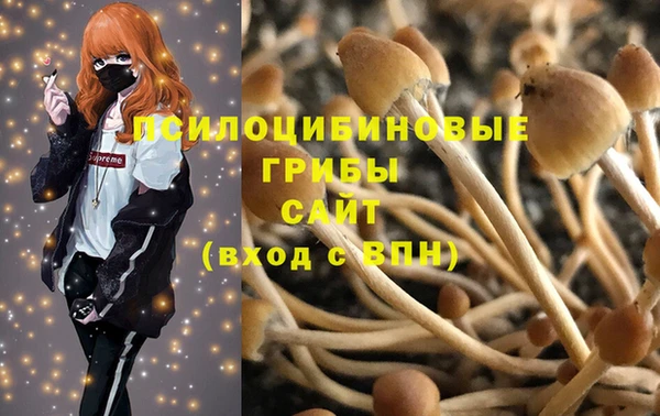 тгк Баксан