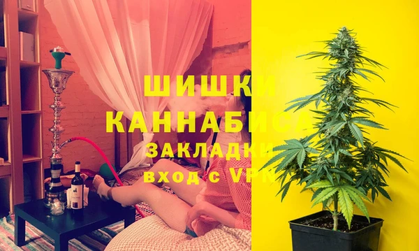 мдпв Балахна