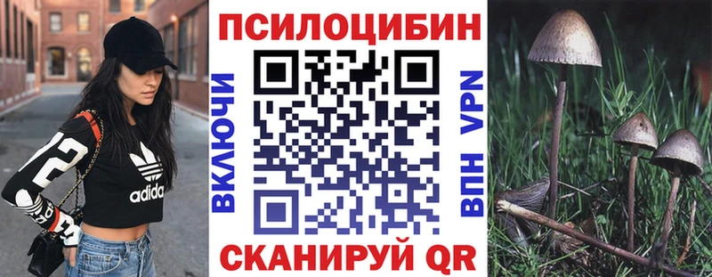 Псилоцибиновые грибы ЛСД  Купить  Гагарин 